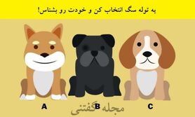 تست شخصیت شناسی |  یه توله سگ انتخاب کن و خودت رو بشناس + نتایج خفن