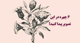  تست هوش و معما | فقط یک نابغه می تواند هر 6 چهره مخفی در این تصویر را پیدا کند؟ + پاسخ 
