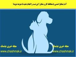 روانشناسی | چقدر میتونی واسه آیندت رو شریک عاطفیت حساب باز کنی؟