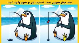 تست هوش | 5 تفاوت ریز و سخت تصویر را بیابید