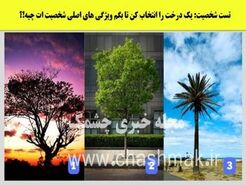 روانشناسی  | یک درخت انتخاب کن تا بگم ذاتا رهبر یا پیرو بقیه هستی