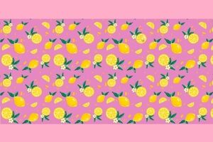 تست هوش | آیا دوست دارید کمی دقت و بینایی خود را به چالش بکشید؟ پروانه رو پیدا کن