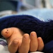 آمبولانسی که جان کودک دو ساله را گرفت