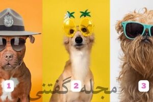  تست شخصیت شناسی |  میخای بدونی آدم منفعلی هستی یا فعال،پس یدونه عینک آفتابی رو انتخاب کن تا بفهمی