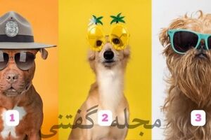  تست شخصیت شناسی |  میخای بدونی آدم منفعلی هستی یا فعال،پس یدونه عینک آفتابی رو انتخاب کن تا بفهمی