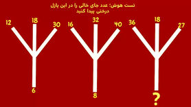 تست هوش | جای خالی را در کمتر سی ثانیه پر کنید + پاسخ تست