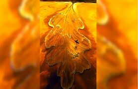  تست شخصیت شناسی | ابر قدرت خودتو با انجام این تست کشف کن 