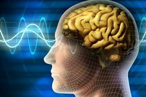 با این 5 توصیه سلامت مغز و حافظه خود را تضمین کنید | خستگی را تار و مار کنید