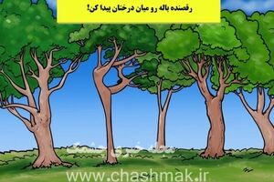 تست هوش | چشات مثل عقاب تیزه، پس بالرین یا رقصنده باله رو میان درختان پیدا کن!
