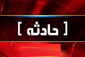 حادثه خونین در شهر | همسرکشی وحشتناک در شهر رخ داد