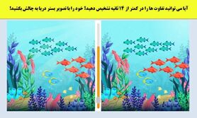 تست هوش | زیر 15 ثانیه تفاوت های تصویر را پیدا کنید