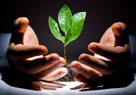وام قرض الحسنه برای این افراد | آغاز ثبتنام وام قرض الحسنه فرزند آوری