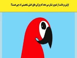 روانشناسی | اولین برداشتتون از این تصویر حقایق پنهانی از شمارو آشکار میکنه!