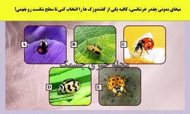 روانشناسی | میخوای بدونی چقدر لوک خوش شانسی؟ | این تست رو انجام بده