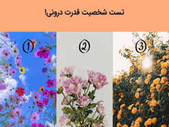 روانشناسی: تست شخصیت شناسی تصویری | قدرت درونیت چیه؟ یکی از گل ها رو انتخاب کن بفهمی!