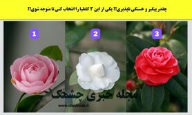 روانشناسی | میزان علاقه ت به پارتنرت رو بسنج ببین چقدر دوست داره!

