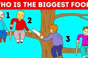 تست شخصیت شناسی | به نظر شما کدام یکی از این افراد احمق تر است؟