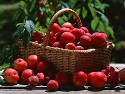 تعبیر خواب میوه در خواب چیست؟ | تعبیر خواب میوه در خواب از نظر معبران شرقی غربی