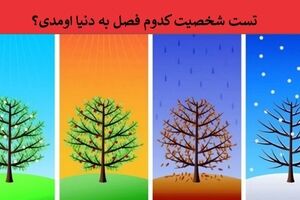 تست شخصیت شناسی | بگو عشقت متولد چه فصلیه تا اخلاقاشو ریز به ریز برات بگم