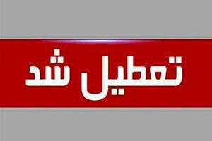  تمامی مقاطع تحصیلی ۴ شهر خوزستان غیرحضوری شد 