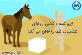 روانشناسی | با پاسخ به این سوالات تمام زوایای شخصیتی خود را بشناسید