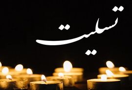 فوت مشکوک دانشمند یزدی تکذیب شد