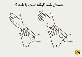 روانشناسی | این سوال را جواب بدید تا بگم چه شخصیتی دارید