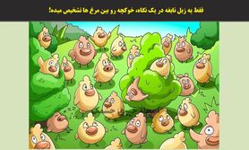 تست هوش | فقط یه تیز بین میتونه این تست هوش رو حل کنه