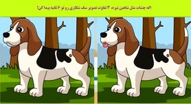 تست هوش | تفاوت های تصویر را زیر 6 ثانیه پیدا کنید