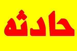 مرگ دردناک پسر بچه در اثر نیش عقرب | حادثه خونین در شهر رخ داد
