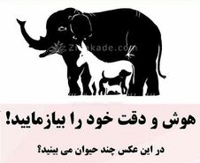 تست هوش | اگه فکر میکنی خیلی باهوشی بگو چندتا حیوون تو تصویر میبینی + جواب تست