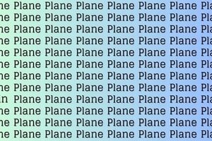 تست هوش | زود تند سریع بجنب و کلمه Plain رو بین این همه کلمه Plane پیدا کن