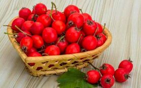 تقویت کلیه ها و کبد با گیاهان دارویی شگفت انگیز
