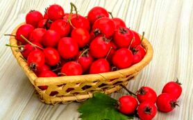 تقویت کلیه ها و کبد با گیاهان دارویی شگفت انگیز
