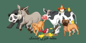 تست هوش| مشکل تصویر را در 3 ثانیه پیدا کن