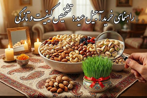 راهنمای جامع خرید آجیل عید نوروز: از تشخیص تازگی تا انتخابی اقتصادی و لذیذ