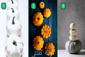  تست شخصیت شناسی | آدم منطقی ای هستی یا احساساتی عمل میکنی؟ یک کدوتنبل انتخاب کن 