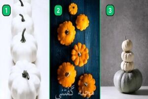  تست شخصیت شناسی | آدم منطقی ای هستی یا احساساتی عمل میکنی؟ یک کدوتنبل انتخاب کن 