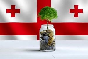 معرفی روش‌ های مختلف سرمایه گذاری در گرجستان