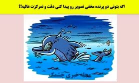 تست هوش | اگه بتونی دو پرنده مخفی تصویر رو پیدا کنی دقت و تمرکزت عالیه!؟
