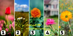 روانشناسی | ویژگی خاص شما از نظر اطرافیانتون چیه؟ یک گل انتخاب کنید 