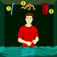 تست هوش | کدام یک از این وسیله ها کمک میکنه مرد بیشتر زنده بمونه؟ + پاسخ
