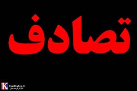 تصادف یک خودرو با عزارادان حسینی